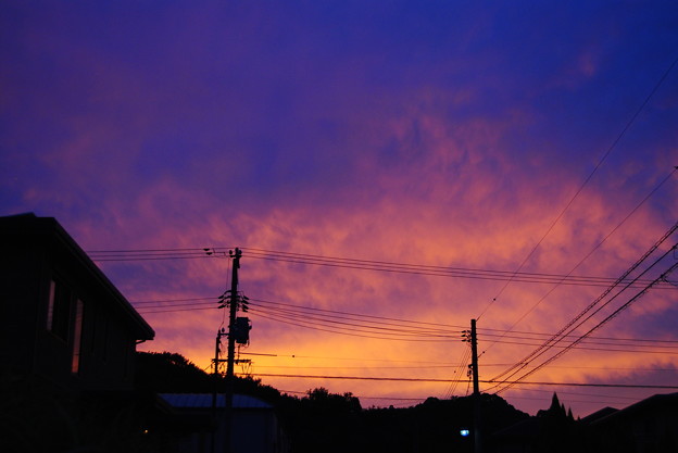 CSC_0351