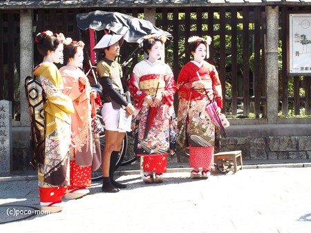 舞妓さん(偽)法観寺 八坂塔 P9241247