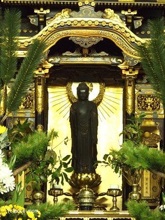 蓮通寺 PA220003