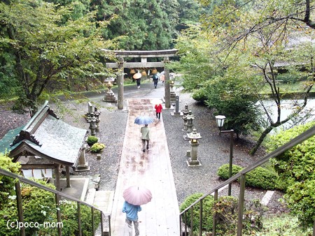 長浜 法照寺 PA220230