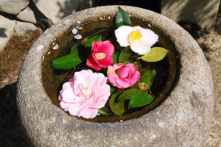 2010年04月04日_DSC_1351