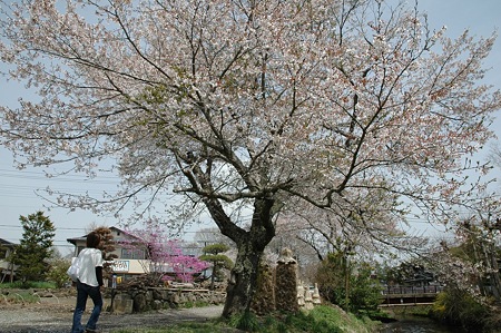 oshino16