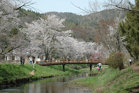 oshino18