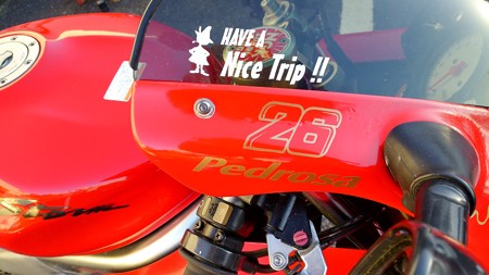 20141227VTR1000F (7)