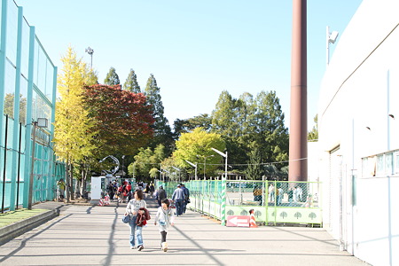 西側ゲート周辺。通路奥には色づいた木も