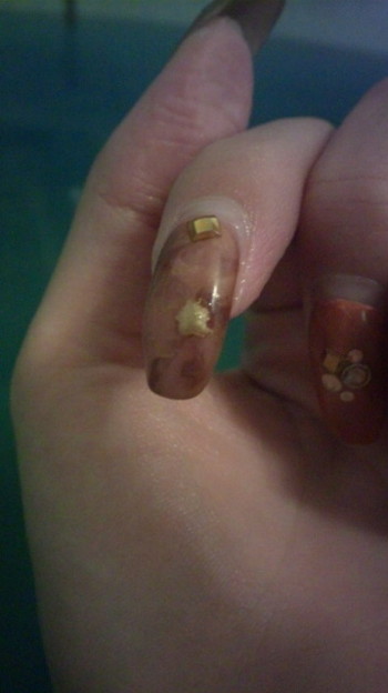 黄金のセレブレイトの中の星 写真共有サイト フォト蔵