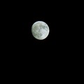 14夜の月