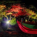 小国神社 紅葉　赤橋付近 ライトアップ 360度パノラマ写真