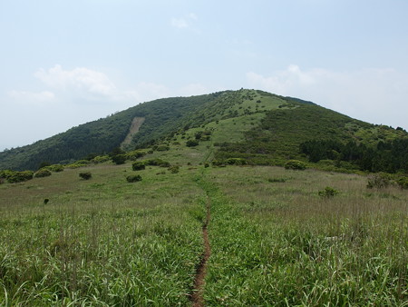 P6290347