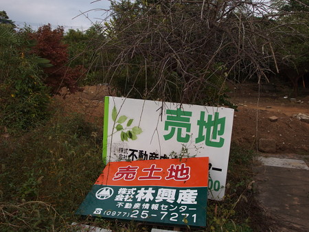 PB020707