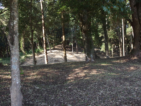 PB030865