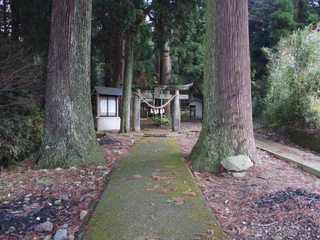 PC011480