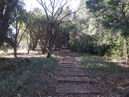 P1092126