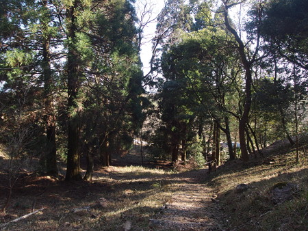 P1092159