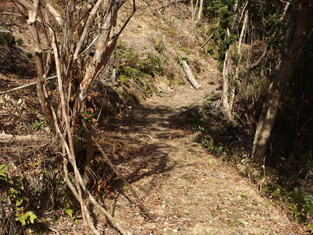 P1182313