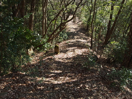 P1182338