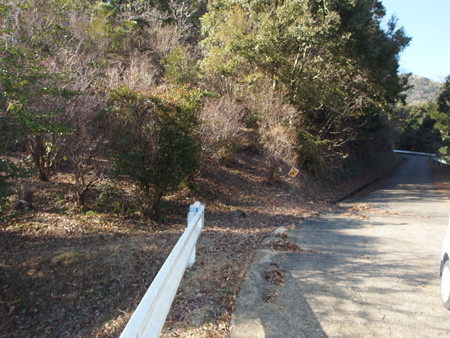 P1182379