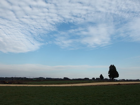 P1182449