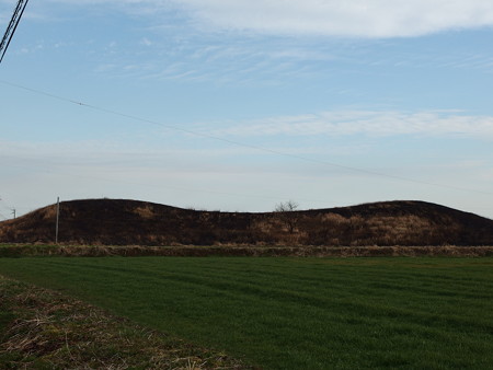 P1182457