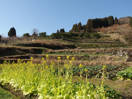 P2032503