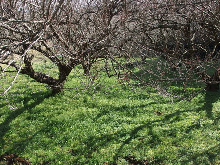 P2032511