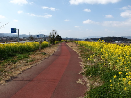P2062582