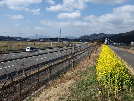 P2062581