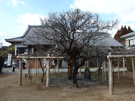 P2062585