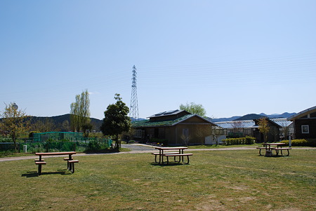 DSC_0468 DSC_0468