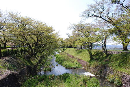 DSC_0470 DSC_0470