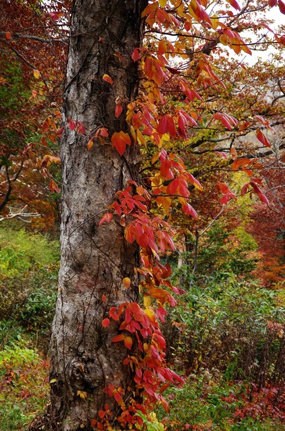 写真00101