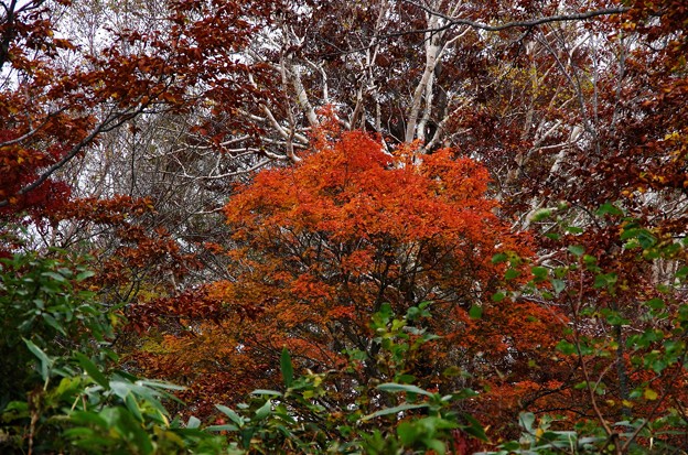 写真00117