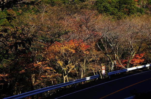 写真00064