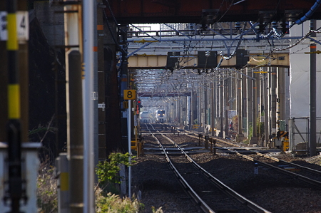 IMGP6769