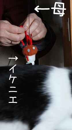 はは