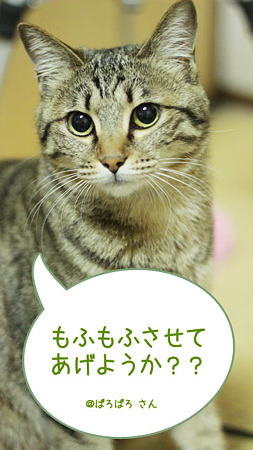 セリフ