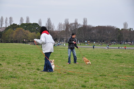 DSC_7367