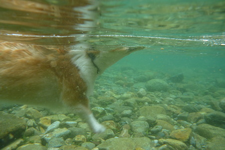 P1020021