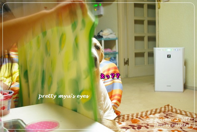 写真: s-032