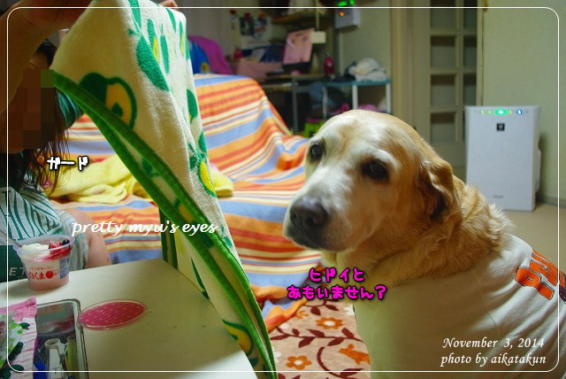 写真: s-034