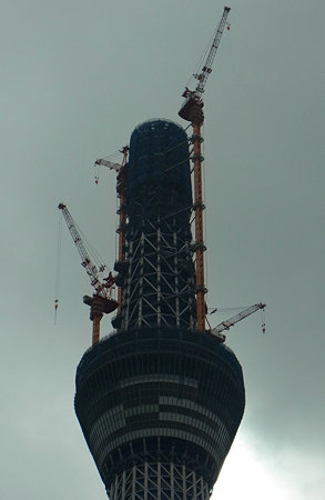 １０月２６日　４９７メートル