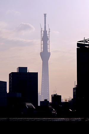 ２月２７日上野公園から５９４メートル
