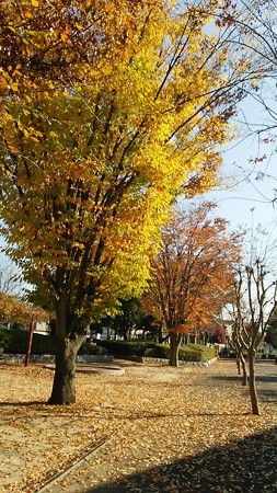 黄色い遊歩道