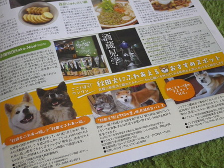 メンバー紹介