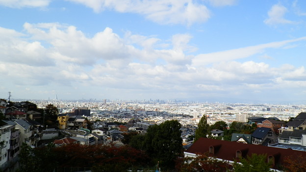 PB038677