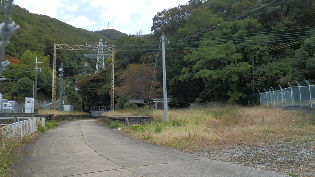PB038681