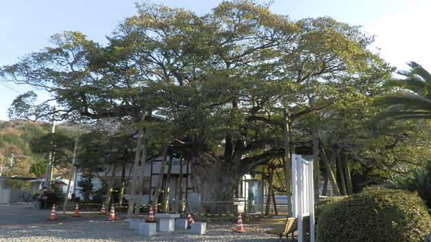 PC279224