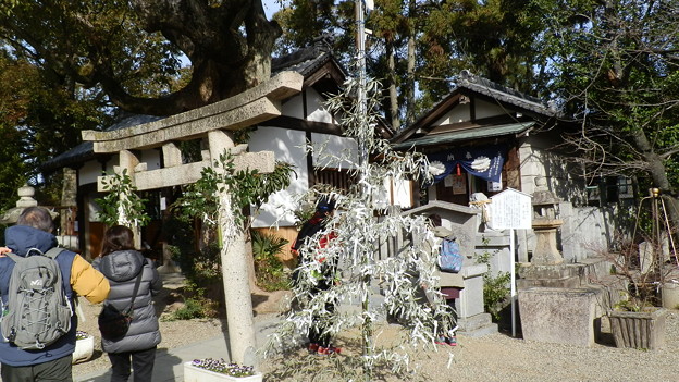 P1079471