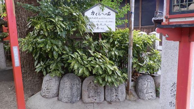P1079385