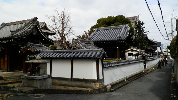 P1079391